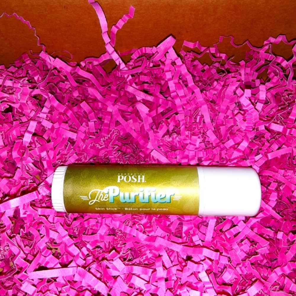 The Purifier Skin Stick